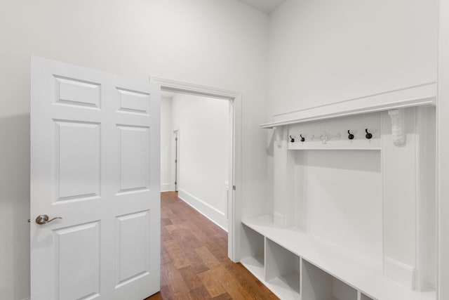 mudroom featuring wood-type flooring