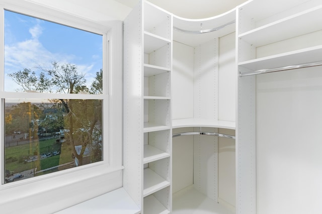 view of spacious closet