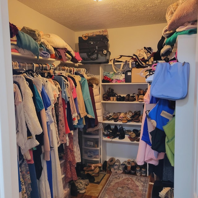 view of walk in closet