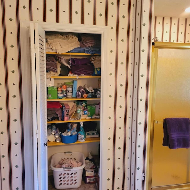 view of closet