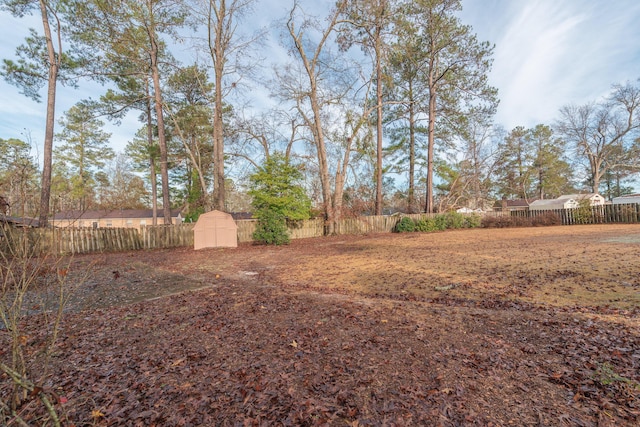 view of yard with a storage shed