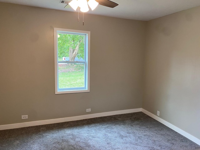 731 Augusta Rd, Warrenville, SC 29851 - photo 15