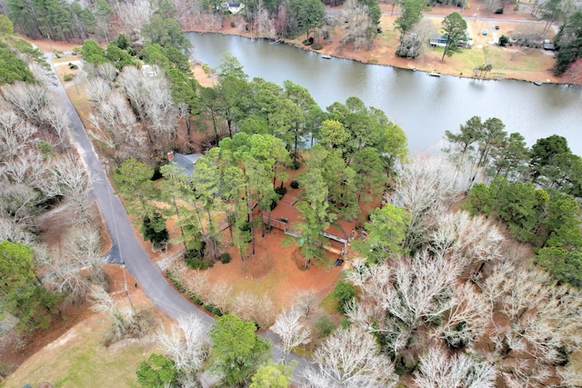 13 Flintlock Dr, North Augusta, SC 29860 - photo 64