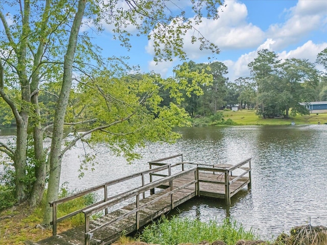 13 Flintlock Dr, North Augusta, SC 29860 - photo 58