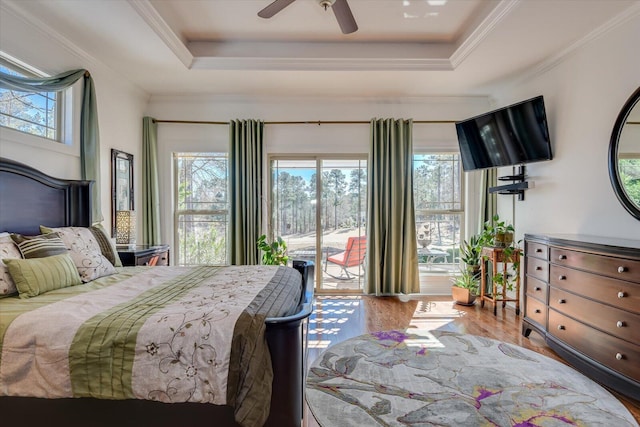 bedroom featuring wood finished floors, multiple windows, a raised ceiling, and access to exterior