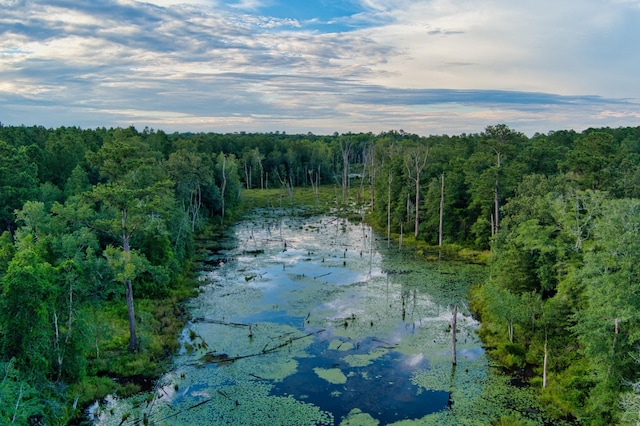 64.7ACRES Salley Rd, Salley, SC 29137 - photo 12