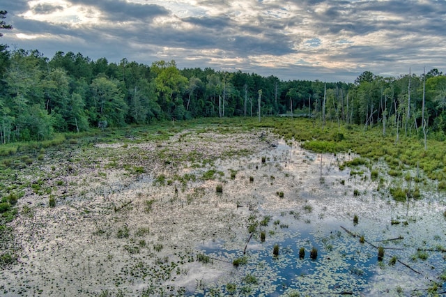 64.7ACRES Salley Rd, Salley, SC 29137 - photo 11