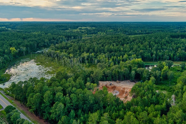 64.7ACRES Salley Rd, Salley, SC 29137 - photo 4