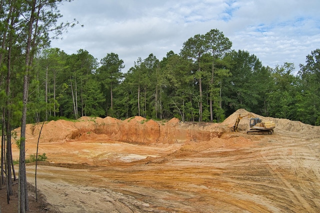 64.7ACRES Salley Rd, Salley, SC 29137 - photo 8
