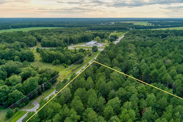 64.7ACRES Salley Rd, Salley, SC 29137 - photo 14