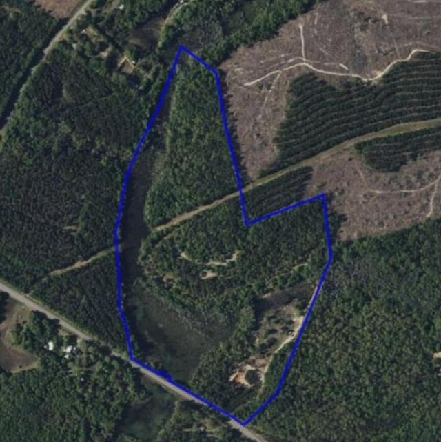 64.7ACRES Salley Rd, Salley, SC 29137 - photo 1