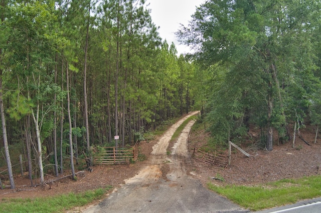 64.7ACRES Salley Rd, Salley, SC 29137 - photo 1