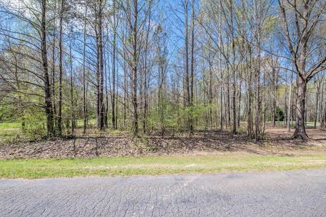 Listing photo 3 for LOT33 Riverside Plantation Rd, Jackson SC 29831