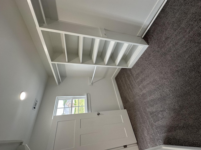 interior space with carpet flooring