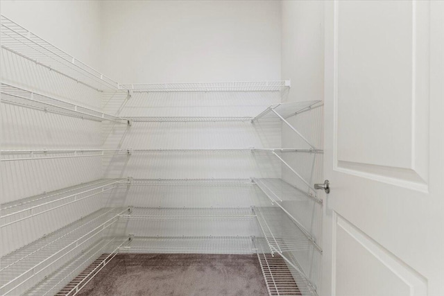 1404 Feldspar Ct, Augusta, GA 30909 - view of pantry