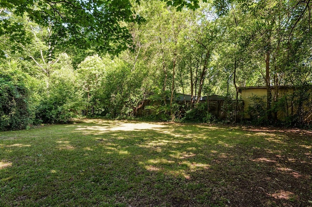 223 E Robert Toombs Ave, Washington, GA 30673 - view of grassy yard with a wooded view