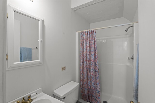 223 E Robert Toombs Ave, Washington, GA 30673 - full bathroom featuring a shower with shower curtain and toilet