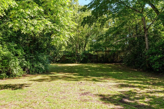 223 E Robert Toombs Ave, Washington, GA 30673 - view of green lawn with a view of trees