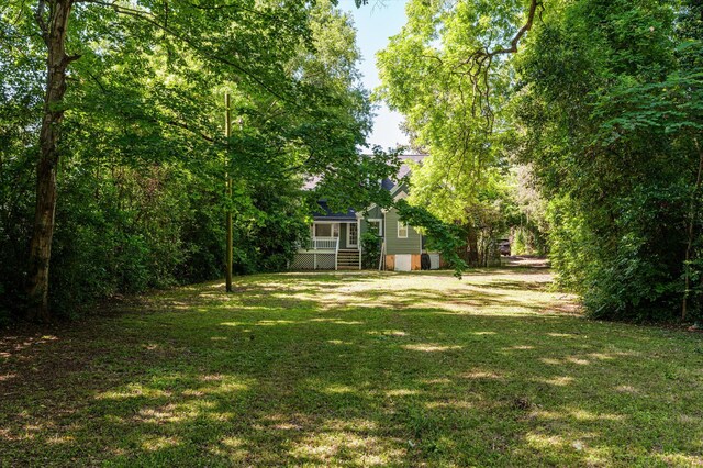 223 E Robert Toombs Ave, Washington, GA 30673 - view of grassy yard