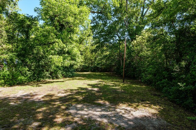 223 E Robert Toombs Ave, Washington, GA 30673 - view of grassy yard featuring a forest view