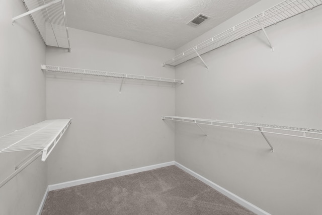 159 Redbud Dr, North Augusta, SC 29841 - walk in closet featuring carpet