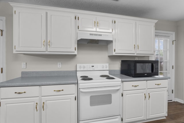 159 Redbud Dr, North Augusta, SC 29841 - kitchen with white electric range oven, black microwave, under cabinet range hood, and white cabinets