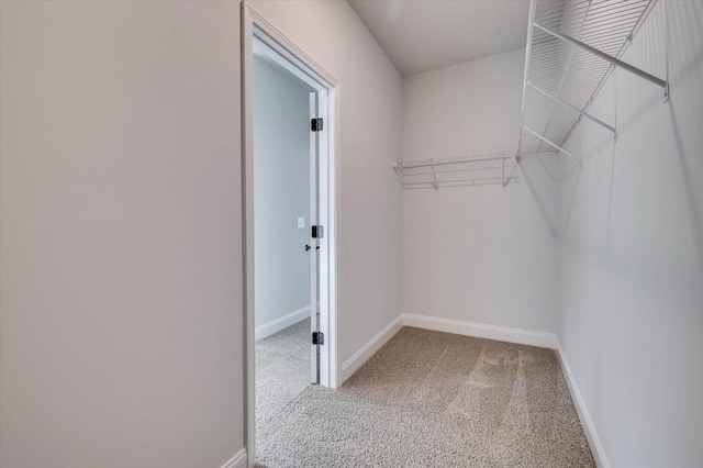 walk in closet featuring light carpet