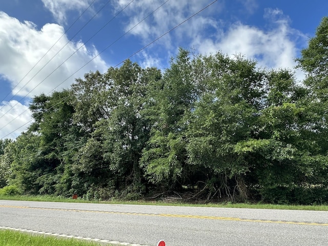 LotE S Ga Highway 23, Waynesboro, GA 30830