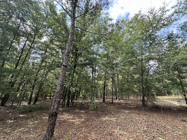 LotE S Ga Highway 23, Waynesboro, GA 30830