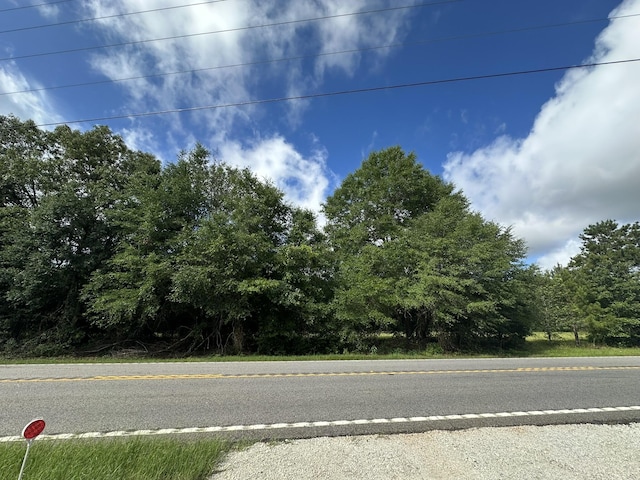 LotE S Ga Highway 23, Waynesboro, GA 30830