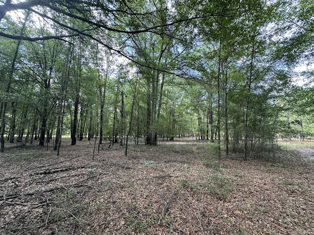 LotE S Ga Highway 23, Waynesboro, GA 30830