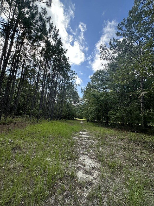 LotE S Ga Highway 23, Waynesboro, GA 30830