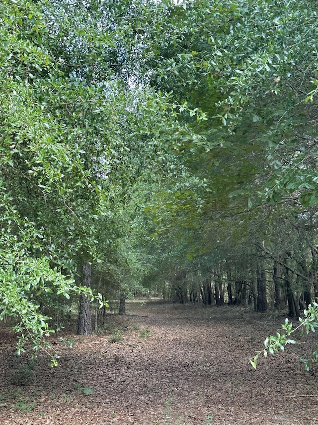 LotE S Ga Highway 23, Waynesboro, GA 30830