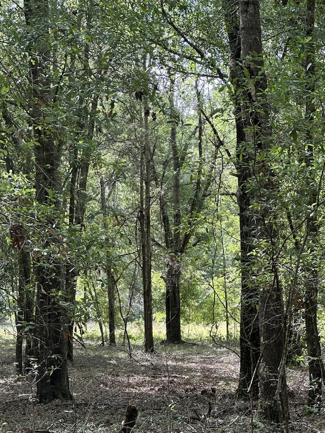 LotE S Ga Highway 23, Waynesboro, GA 30830