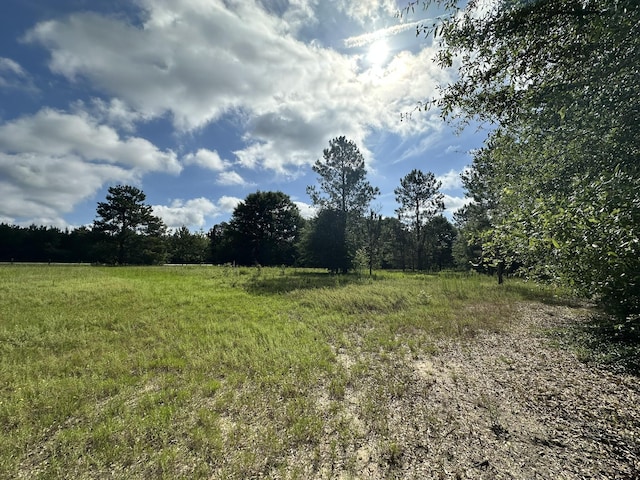 LotE S Ga Highway 23, Waynesboro, GA 30830