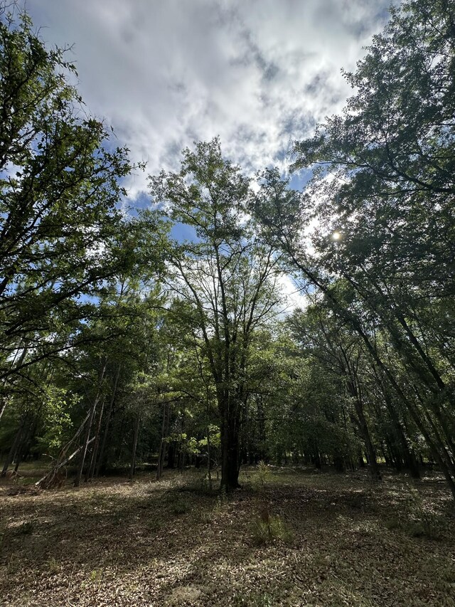 LotE S Ga Highway 23, Waynesboro, GA 30830