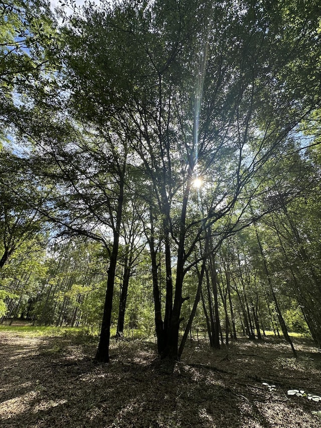LotE S Ga Highway 23, Waynesboro, GA 30830