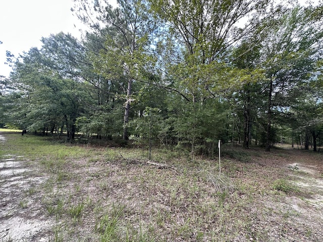 LotE S Ga Highway 23, Waynesboro, GA 30830