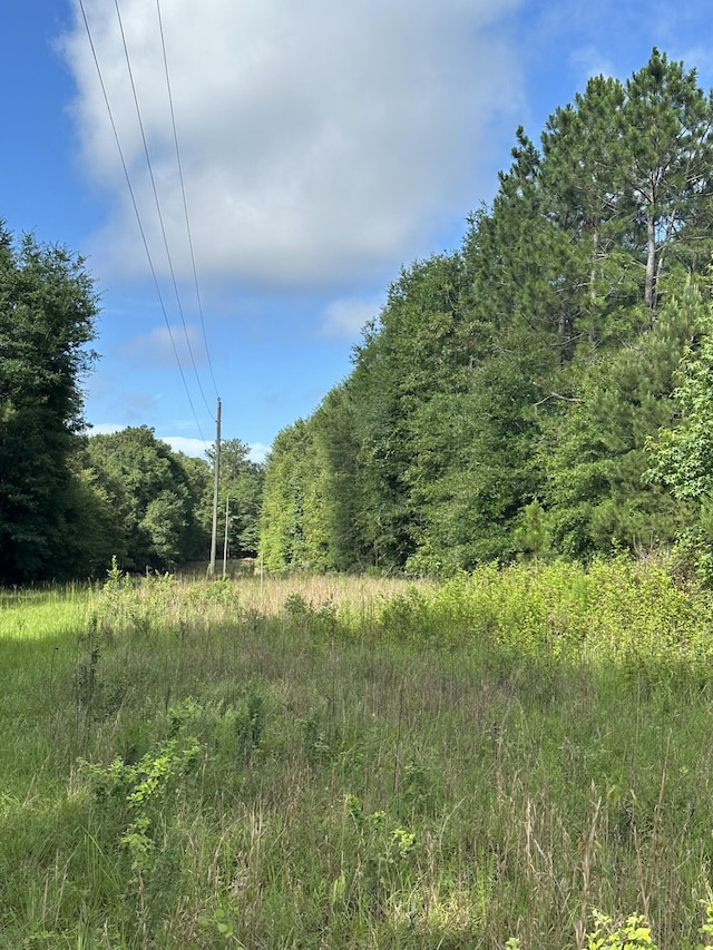 LotE S Ga Highway 23, Waynesboro, GA 30830