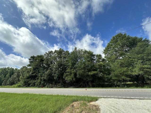 LotE S Ga Highway 23, Waynesboro, GA 30830