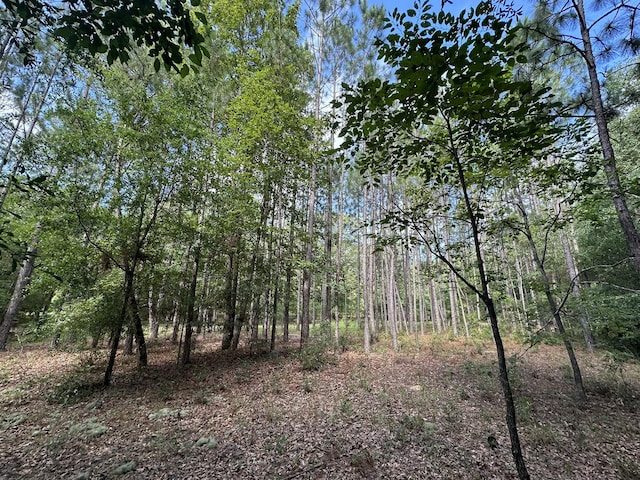 LotE S Ga Highway 23, Waynesboro, GA 30830