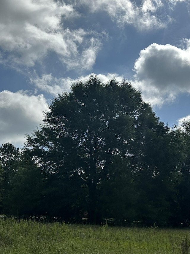 LotE S Ga Highway 23, Waynesboro, GA 30830