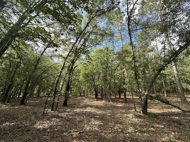 LotE S Ga Highway 23, Waynesboro, GA 30830