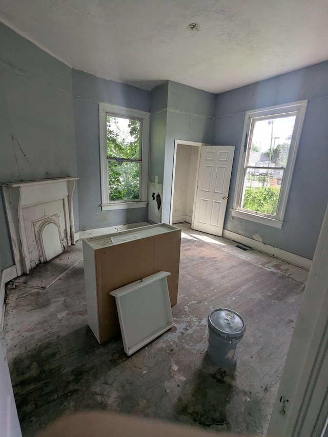 1913 Ellis St, Augusta, GA 30901 - kitchen with plenty of natural light