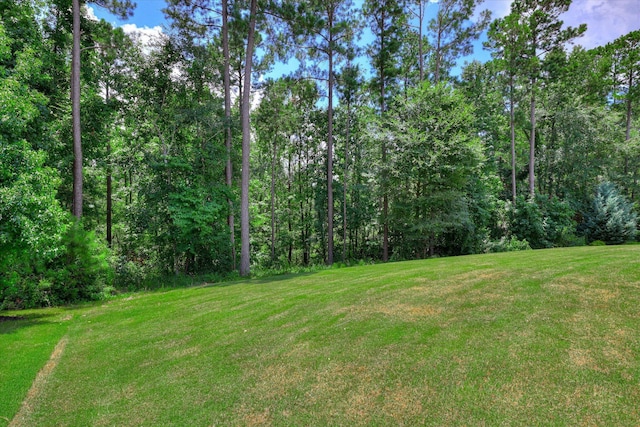 4324 Sabal Dr, Evans, GA 30809 - photo 64