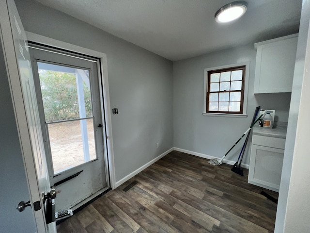 entryway with a healthy amount of sunlight and dark wood-type flooring