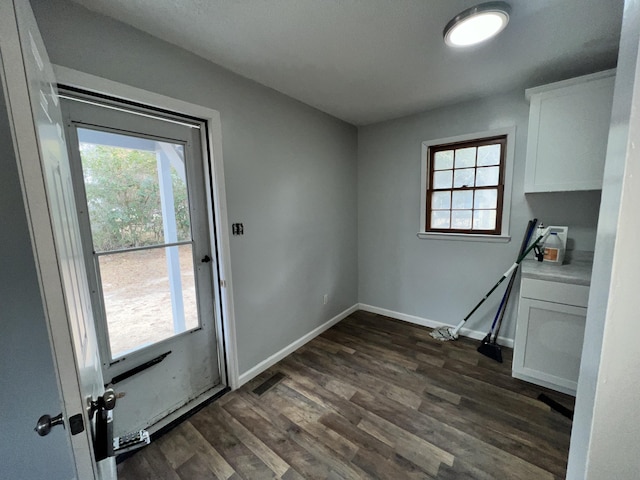 836 Mimosa Dr, Louisville, GA 30434 - entryway with a healthy amount of sunlight and dark wood-type flooring