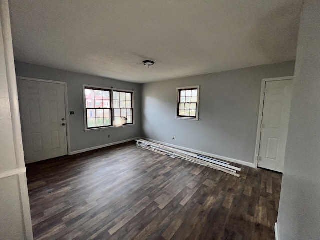 entryway featuring dark hardwood / wood-style flooring