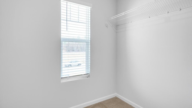 spacious closet featuring carpet