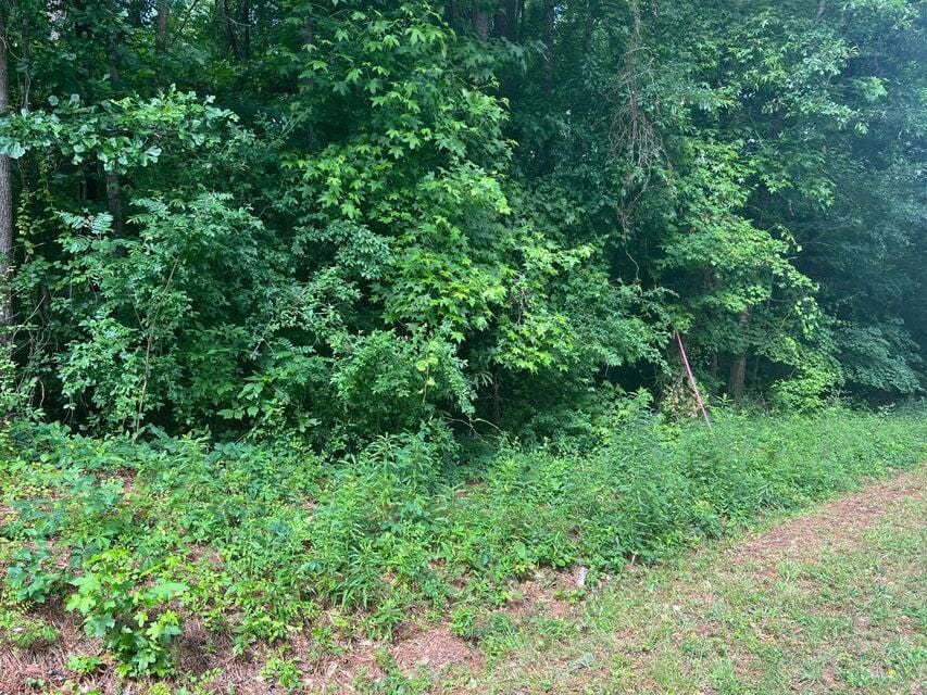 01 New Delaughter Dr, North Augusta, SC 29860 - photo 3